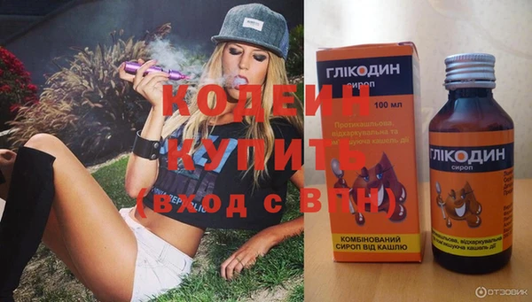 ГАЛЛЮЦИНОГЕННЫЕ ГРИБЫ Аркадак