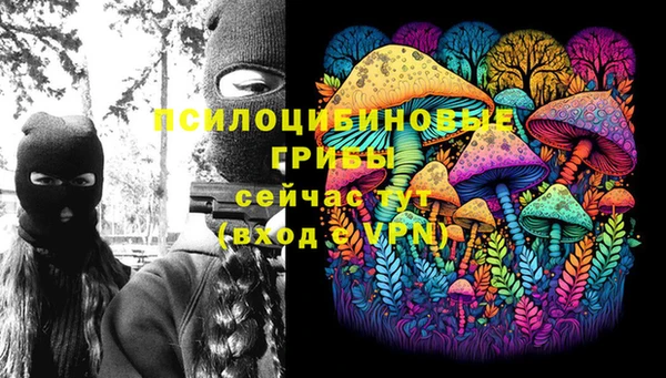ГАЛЛЮЦИНОГЕННЫЕ ГРИБЫ Аркадак