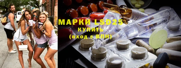 ГАЛЛЮЦИНОГЕННЫЕ ГРИБЫ Аркадак