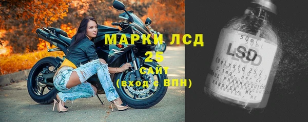 прущие грибы Алзамай
