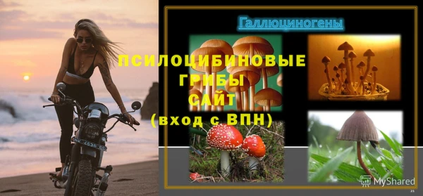 соль курить ск Арсеньев