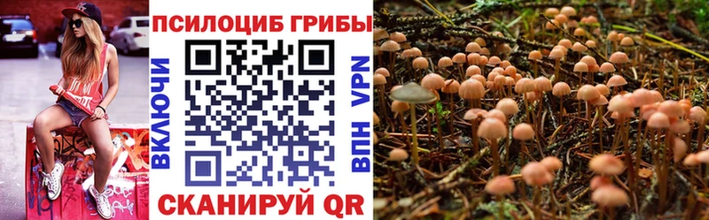 Псилоцибиновые грибы мицелий Качканар
